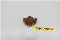 藏品(豆形拳蟹)的圖片